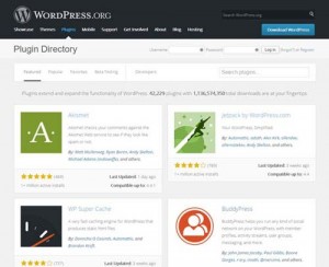 populairste WordPress plugins