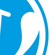 WordPress Website van Burggraaf.it