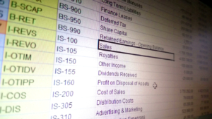 De kost gaat voor de baat uit, lijstjes in Excel?
